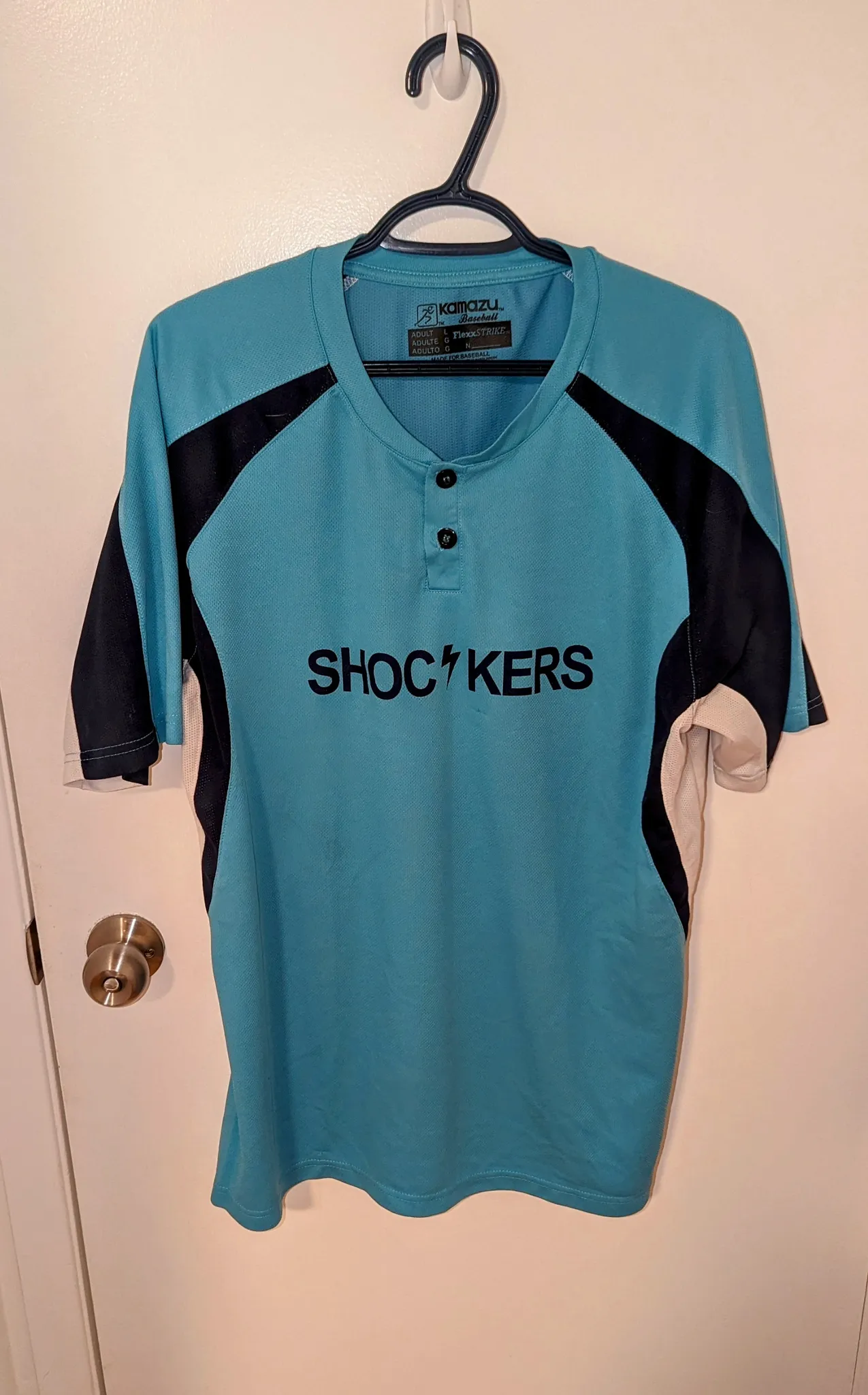 Men's Large Softball Jersey  photo 1