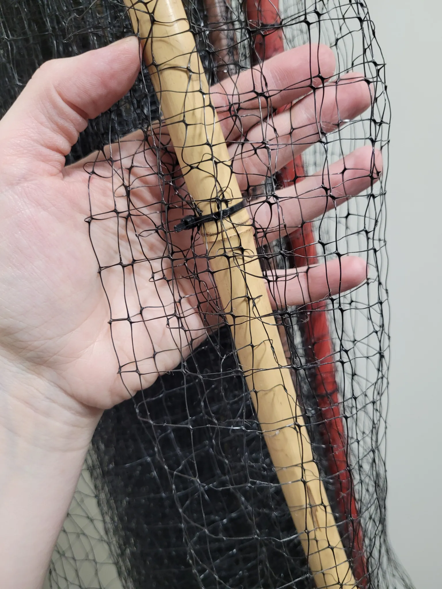 Netting roll with bamboo supports  photo 1