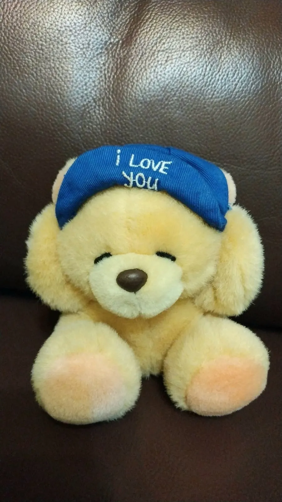 New Forever Friends bear  photo 1
