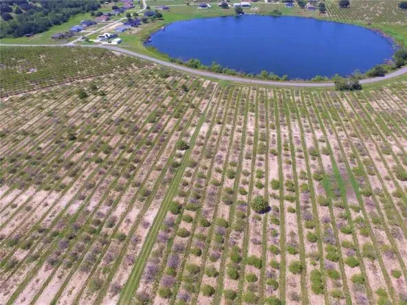 Serene Land for Rent in Enchanting Florida - Embrace Your Dreams photo 1