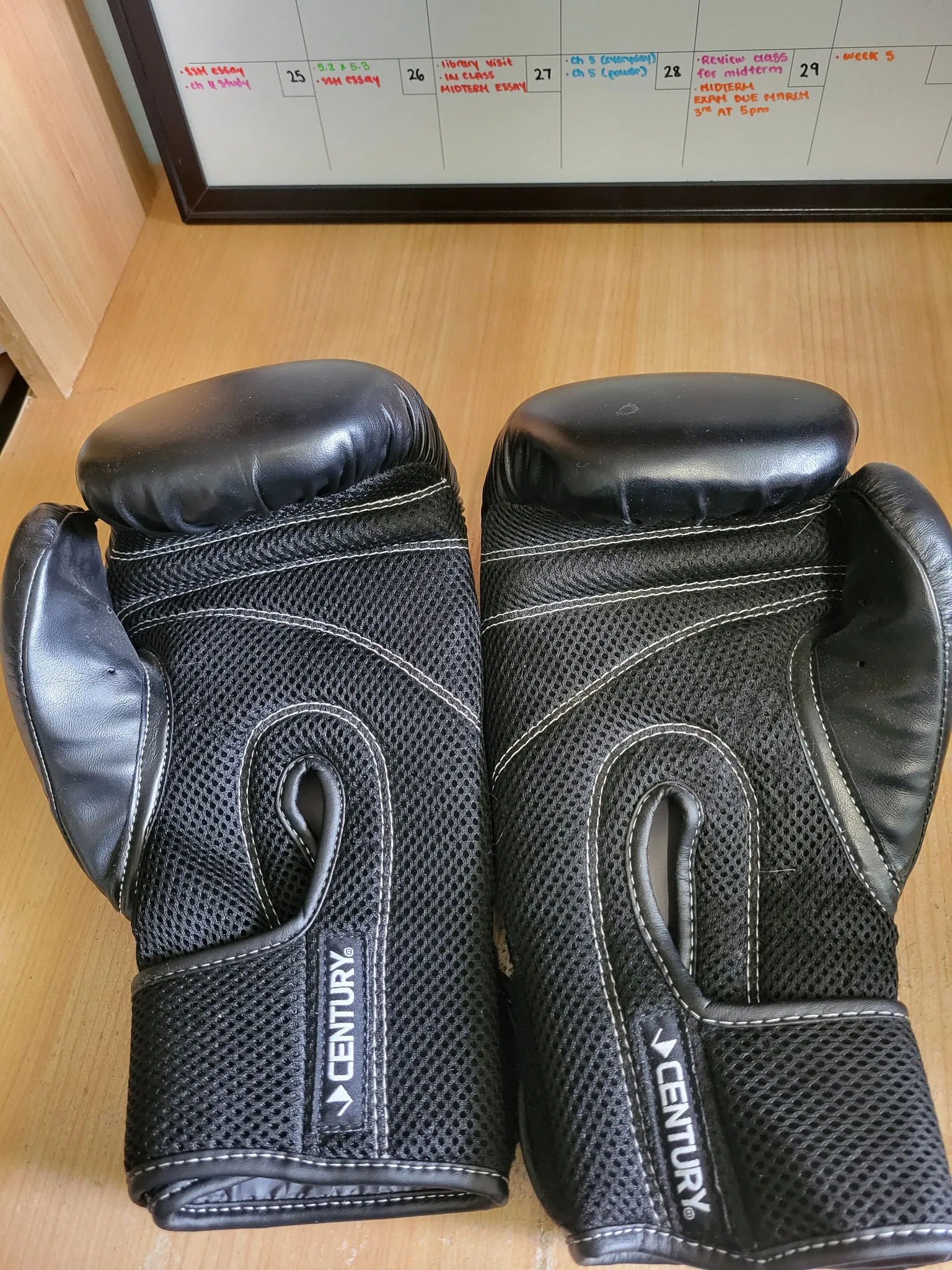 Boxing Gloves
 photo 1