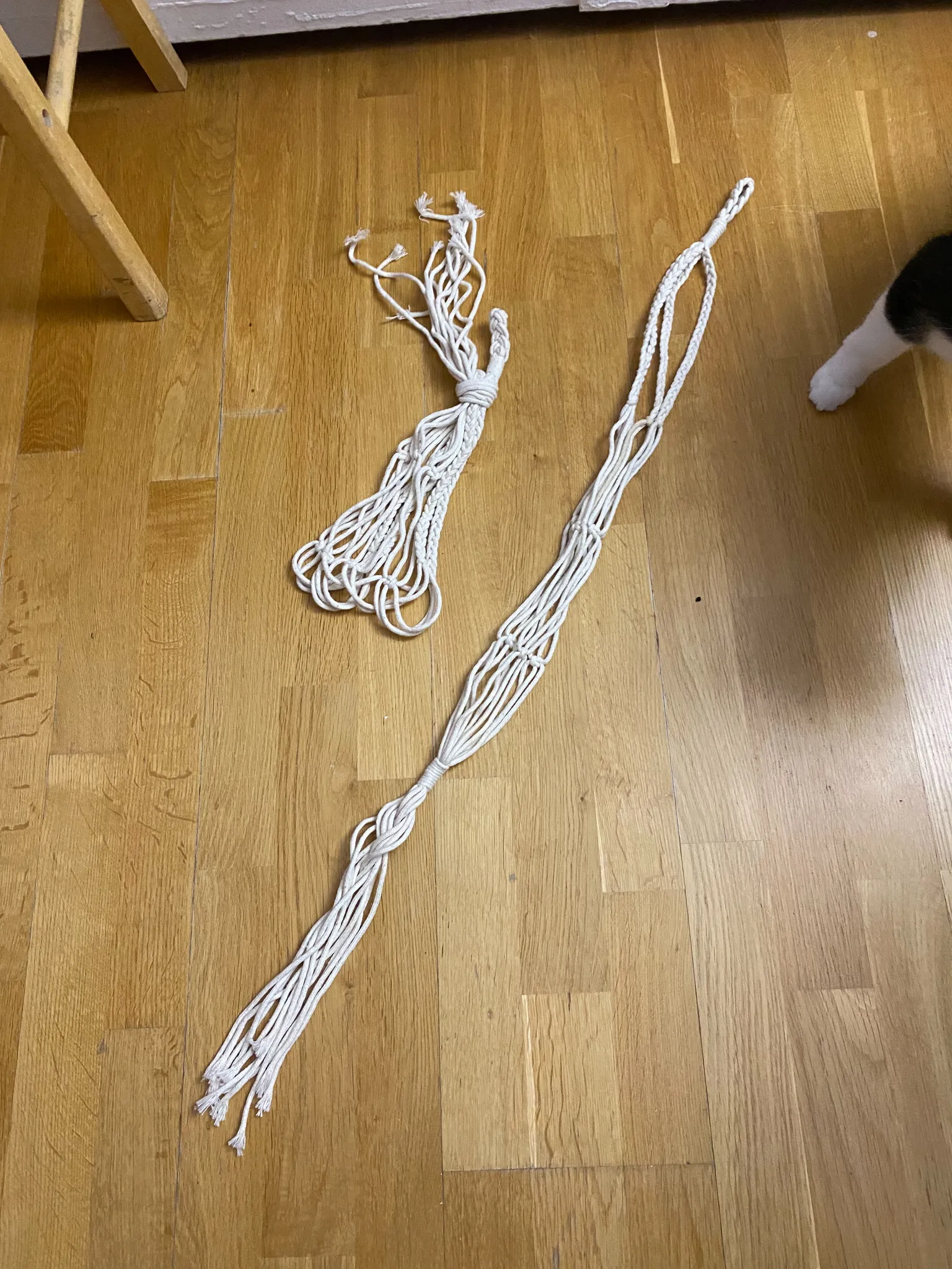 Plant hangers photo 1