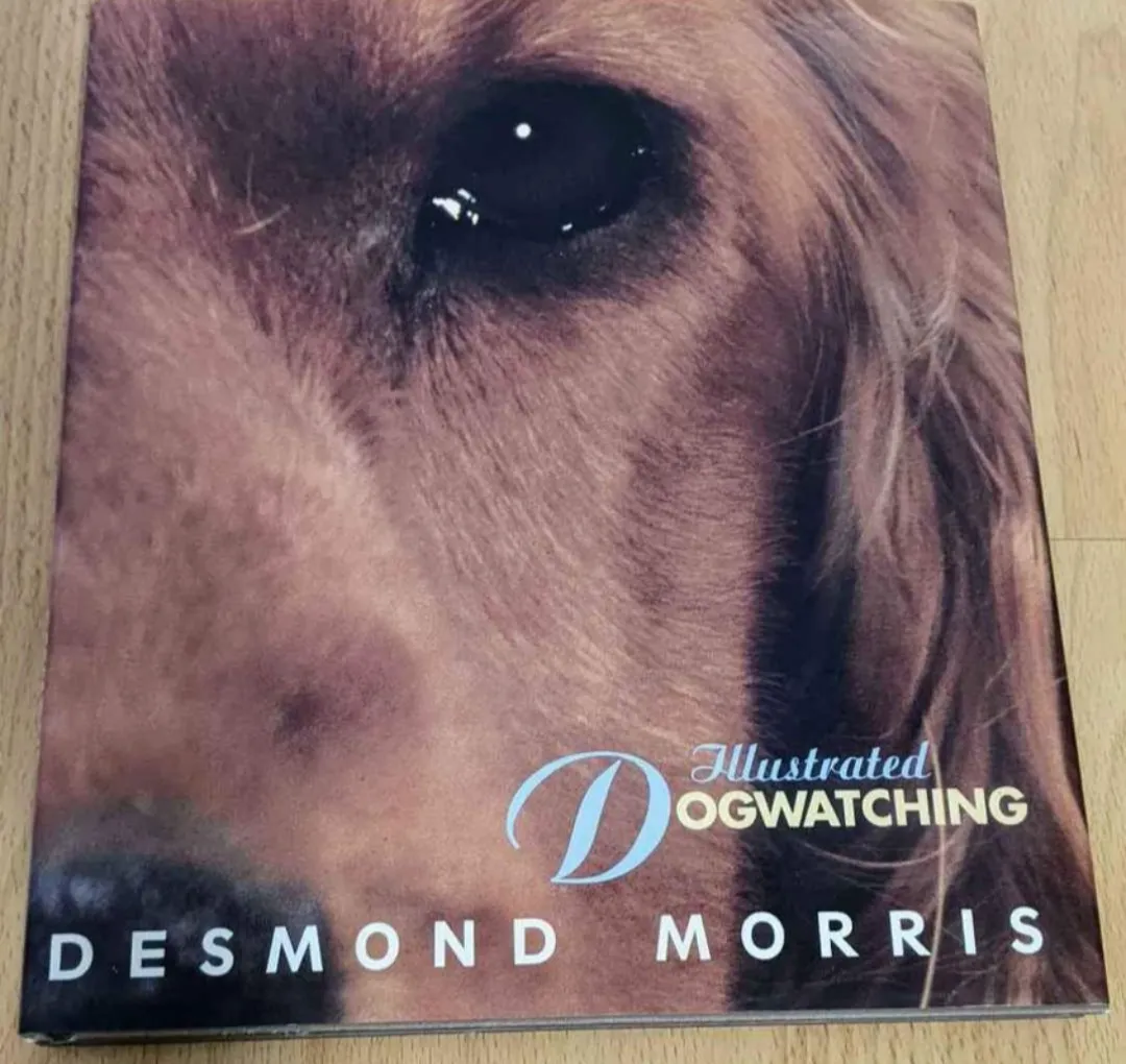 Illustrated Dog Watching Coffee Table Book photo 1