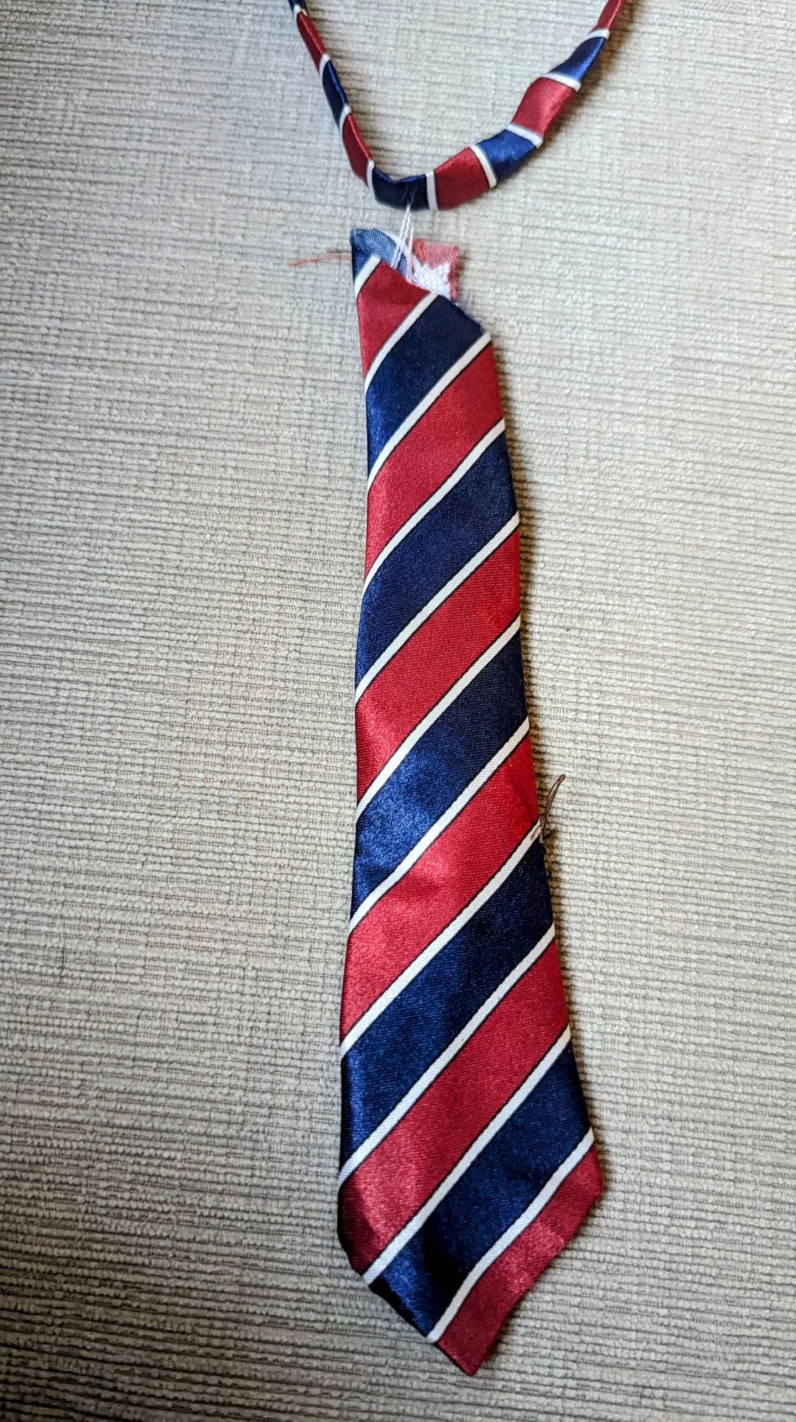 Dog Tie photo 1