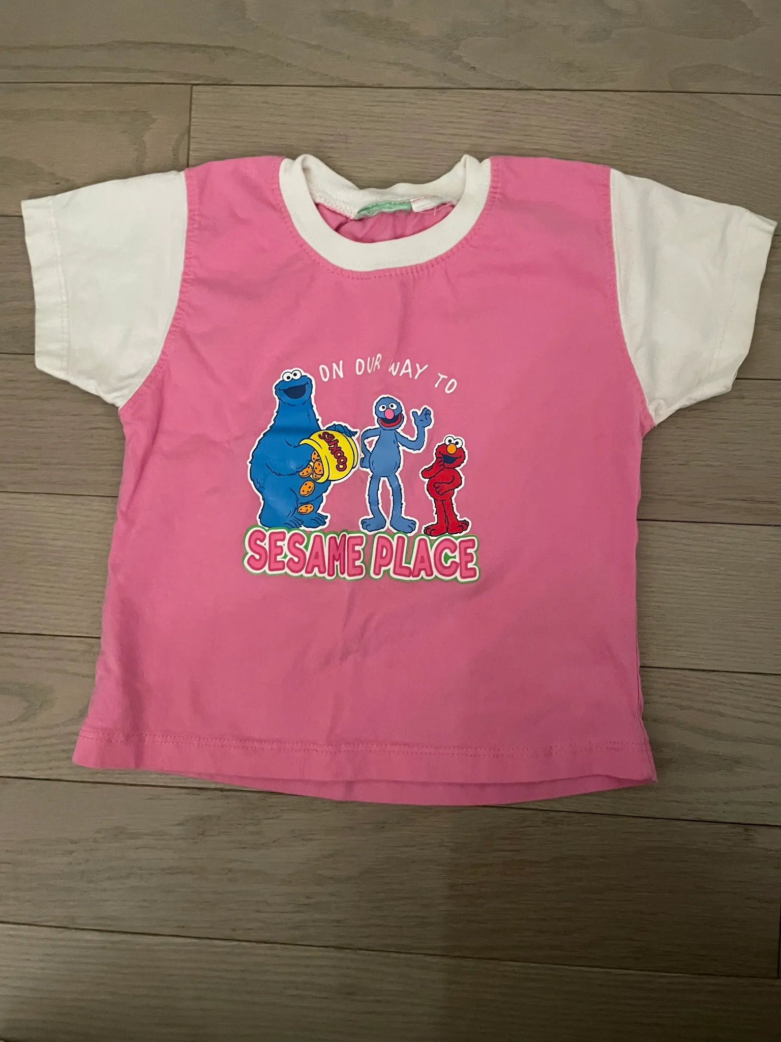 Sesame place girls T-shirt 👚 🗑️  photo 1