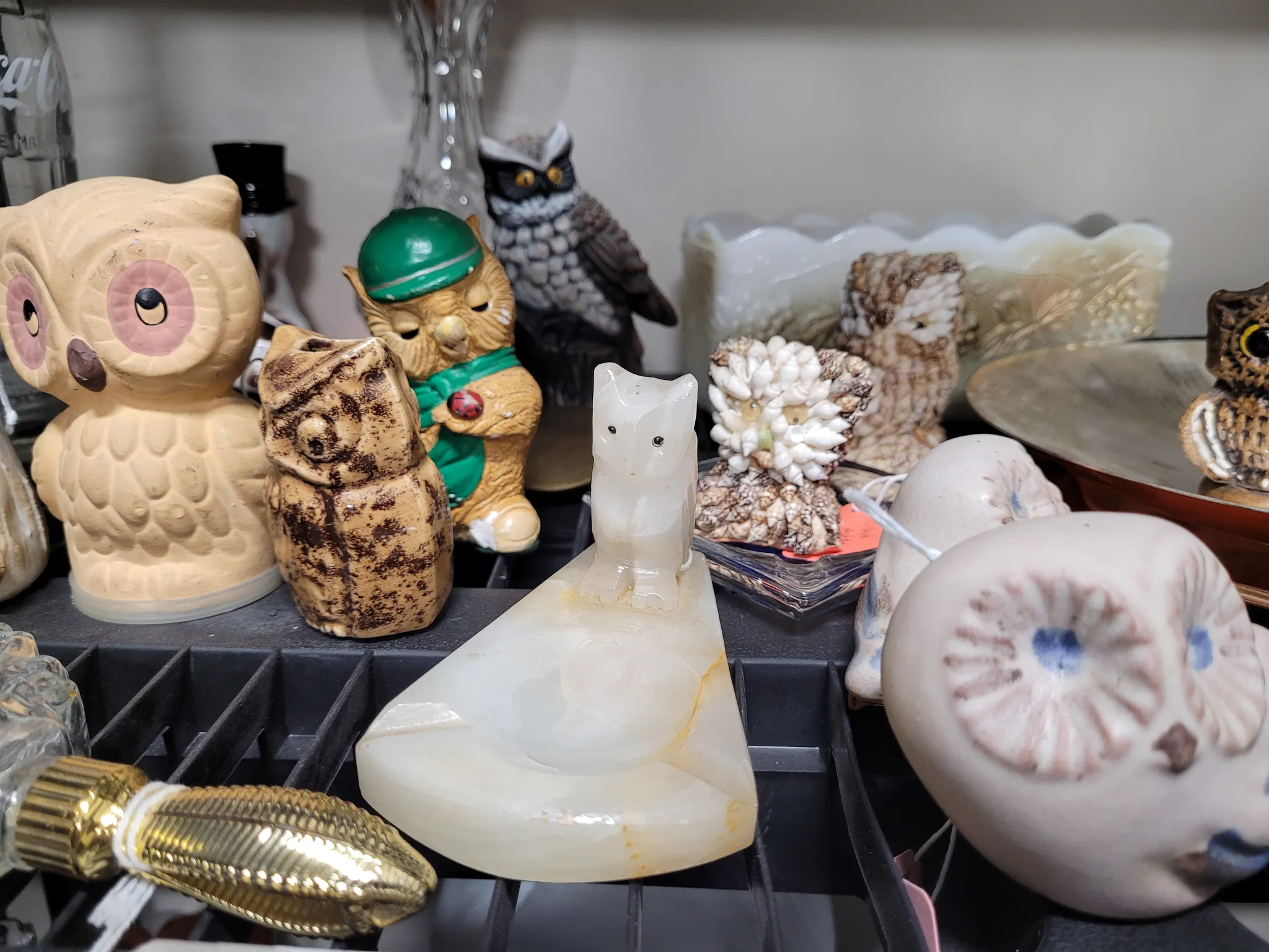 Owls collection  photo 1