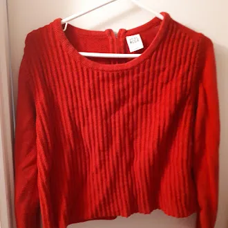 Red Sweater photo 1