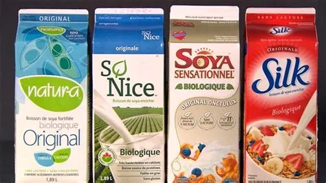 Lait de soya / soy milk  photo 1