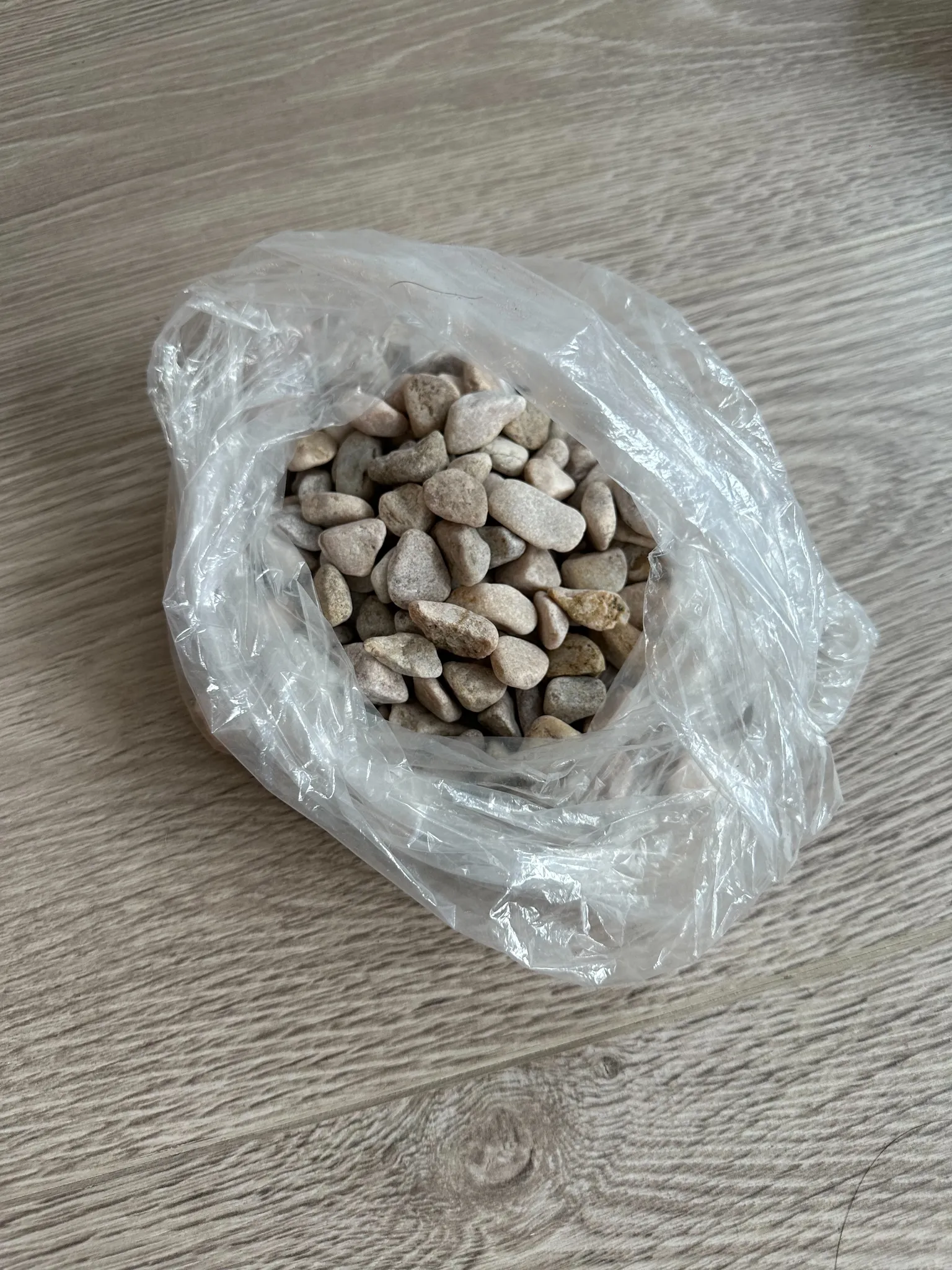 Bag of Rocks photo 1