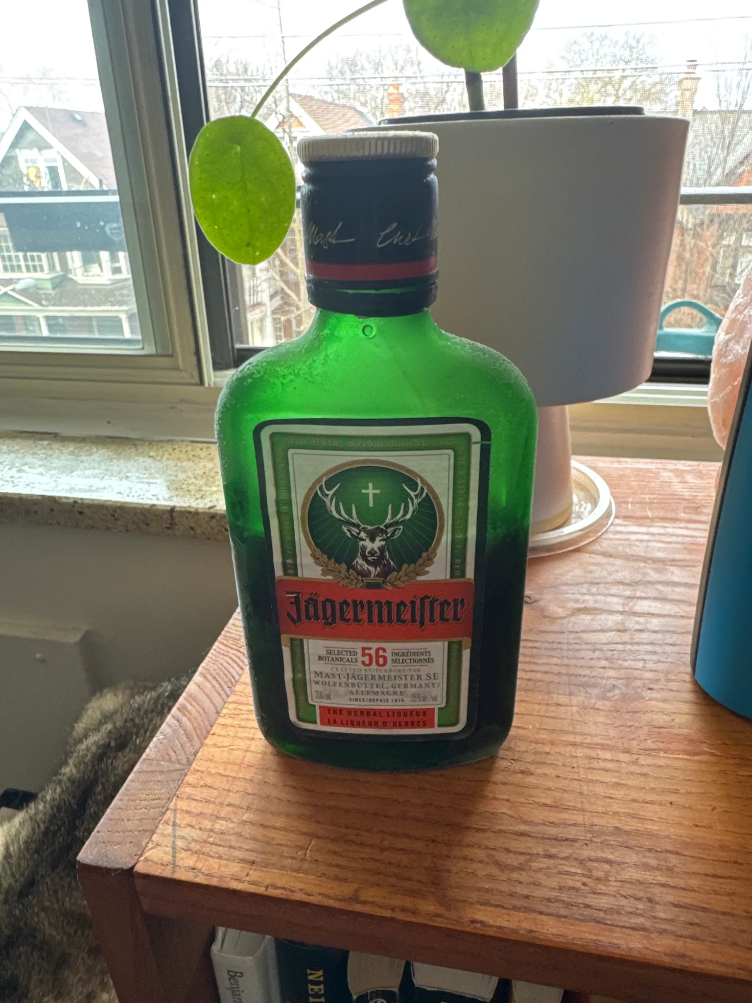 Jagermeister photo 1