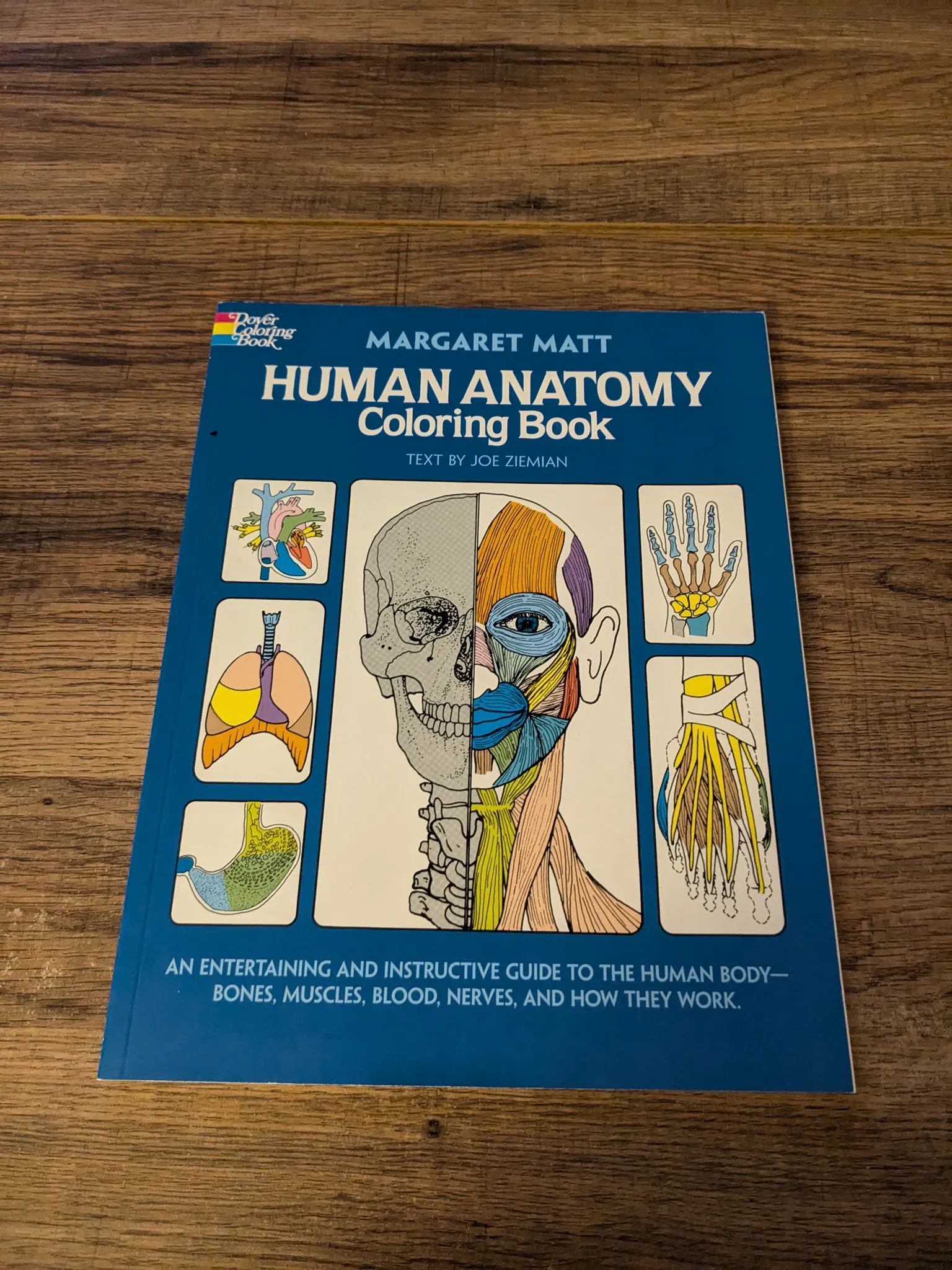 Human Anatomy Coloring Book photo 1