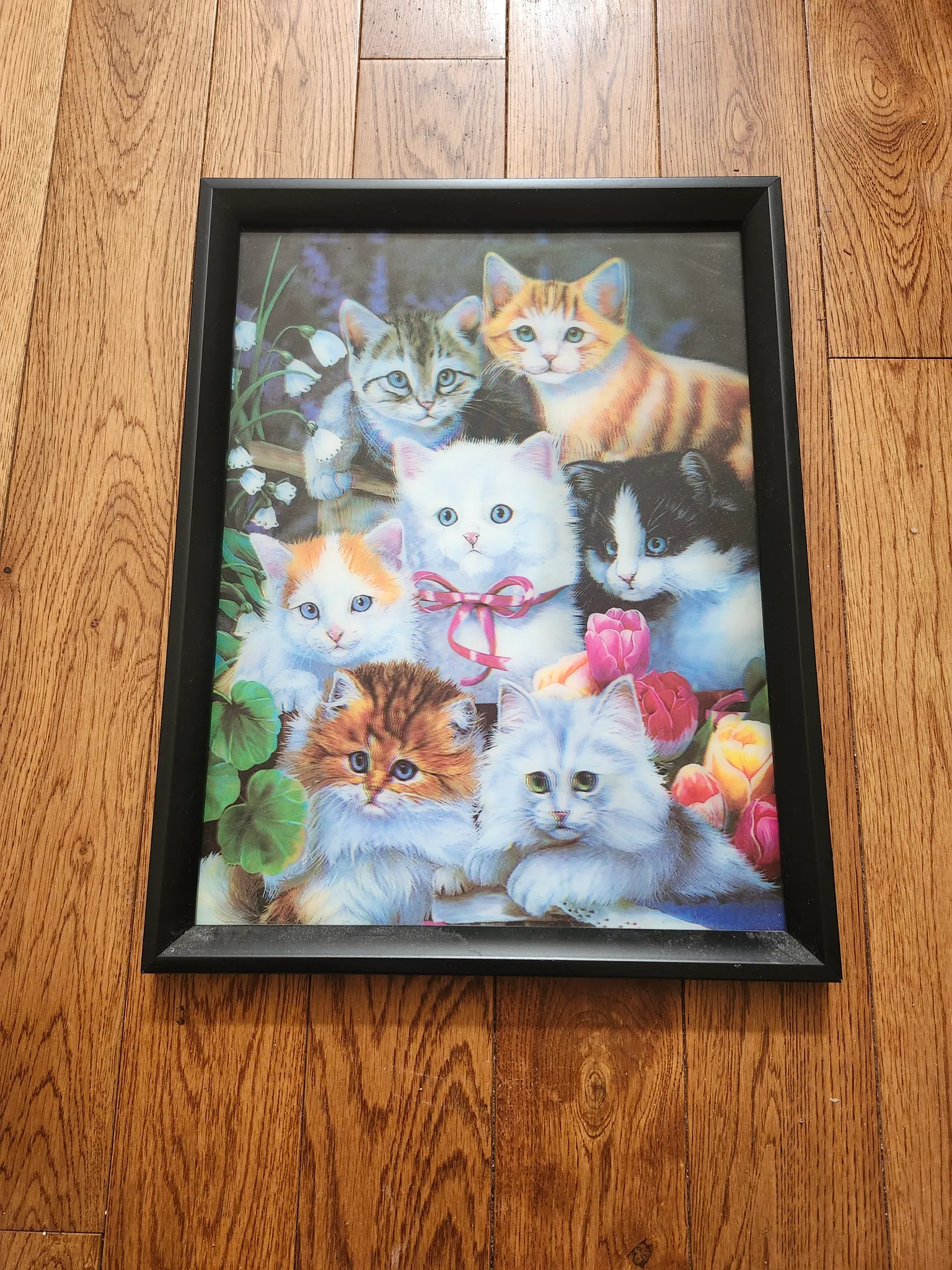 Are you a cat lover? - Lenticular 3D poster in frame photo 1