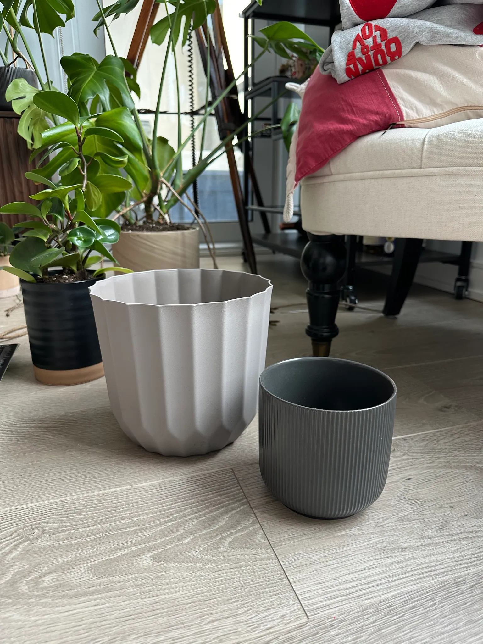 Plant Pots photo 1