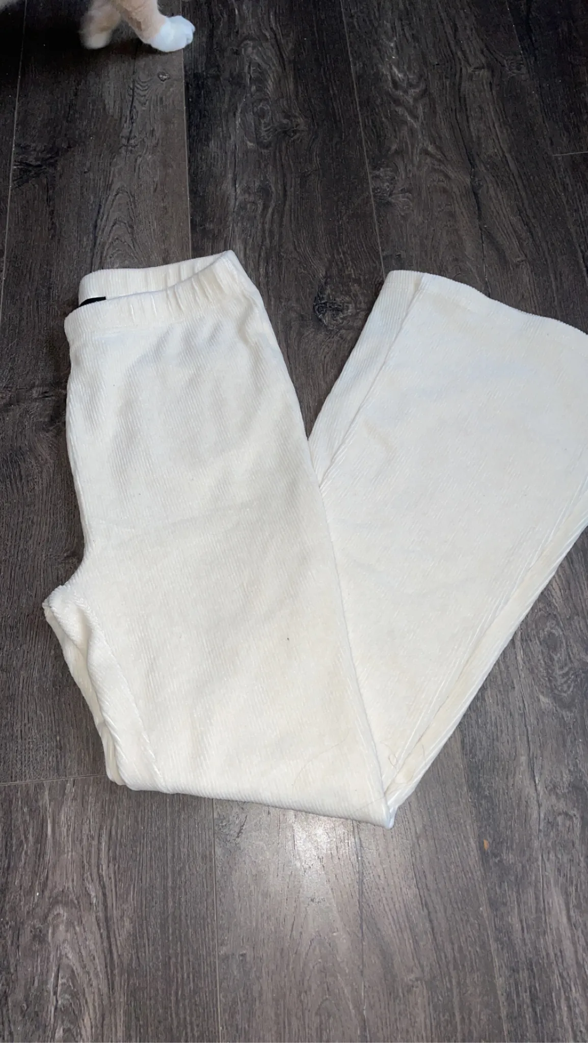 cider flare pants photo 1