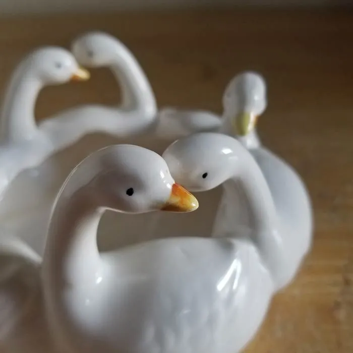 Swan Dish photo 1
