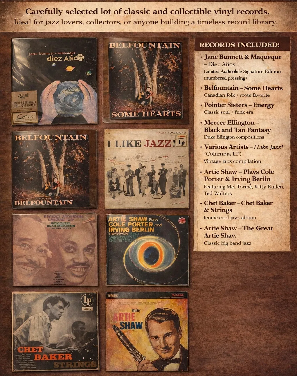 CURATED VINYL RECORD COLLECTION photo 1