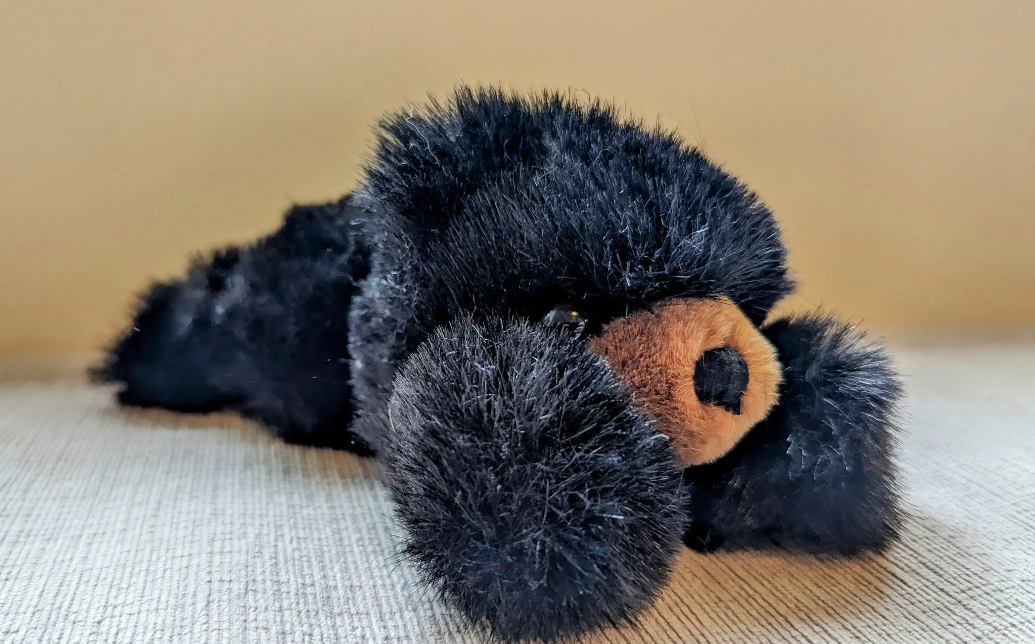 Small Stuffed Teddy Bear  photo 1