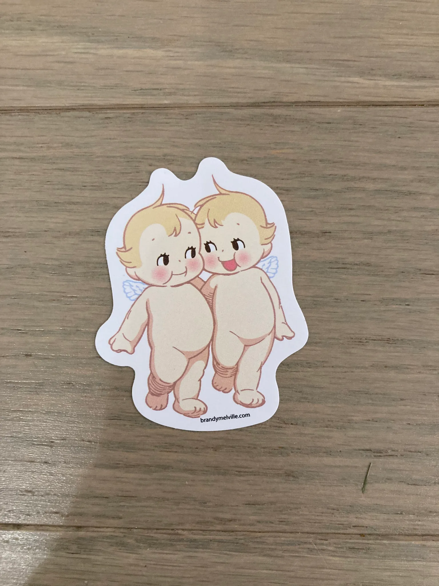 🆕 Brandy Melville stickers photo 1