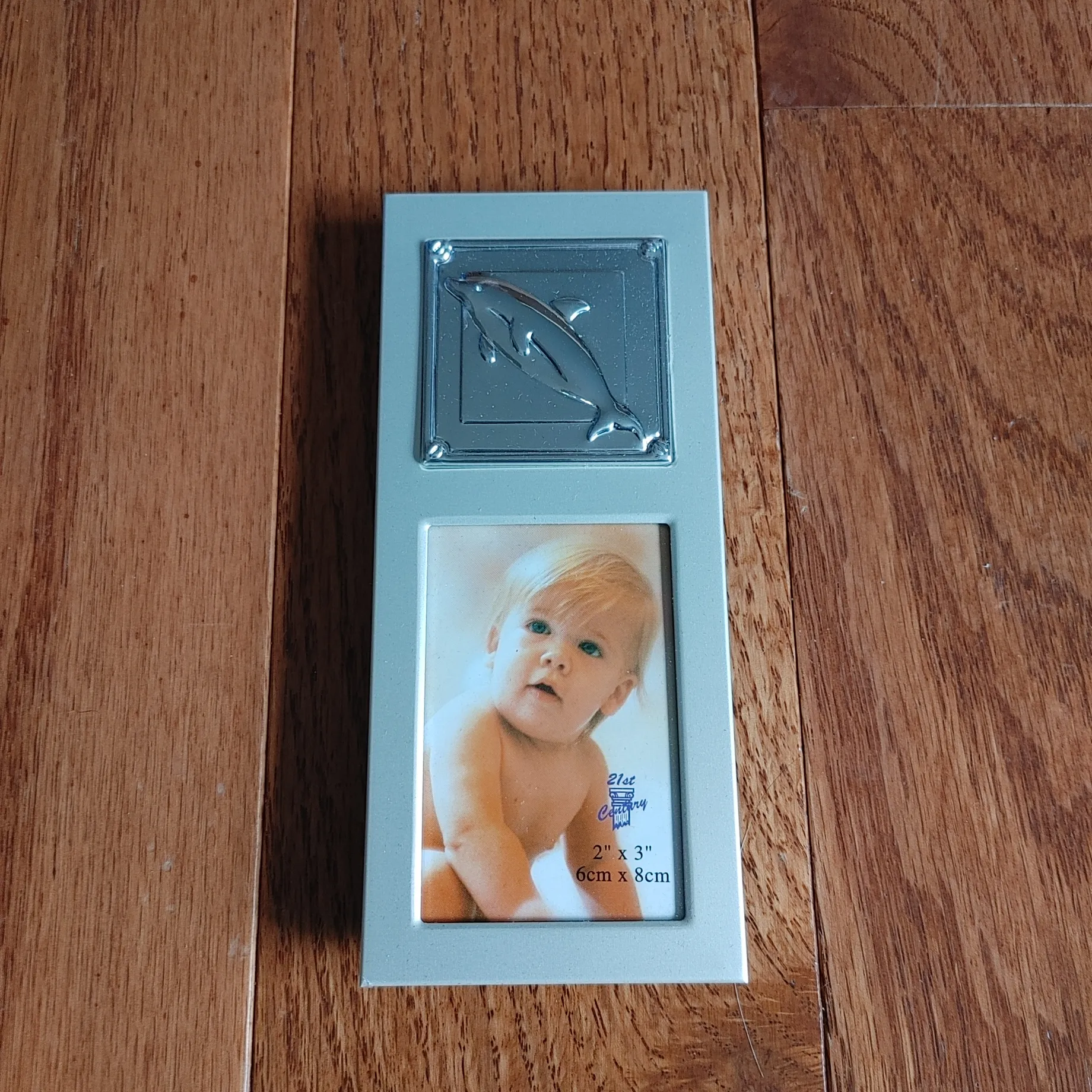 Dolphin Picture Frame photo 1