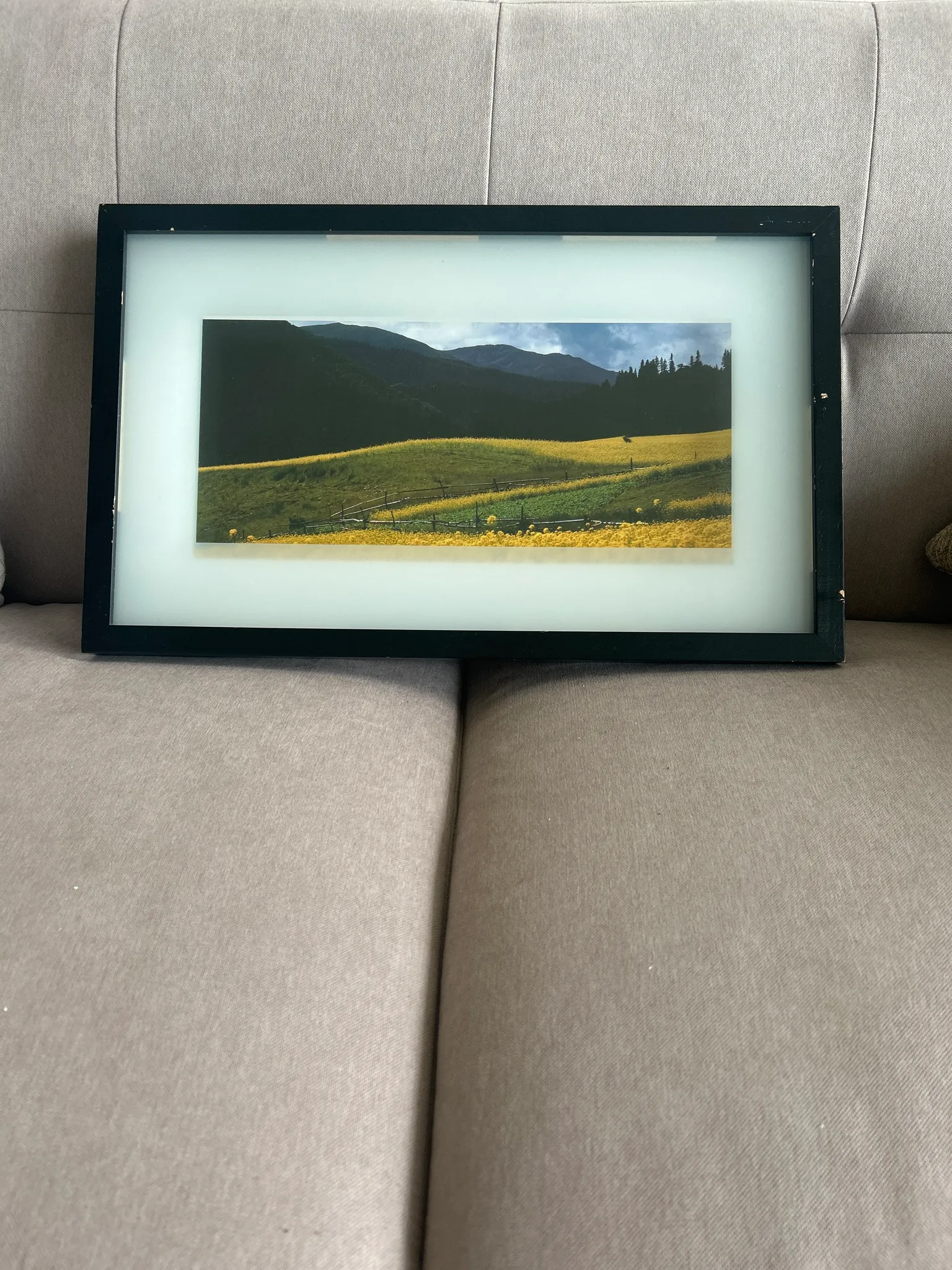 Free print  photo 1