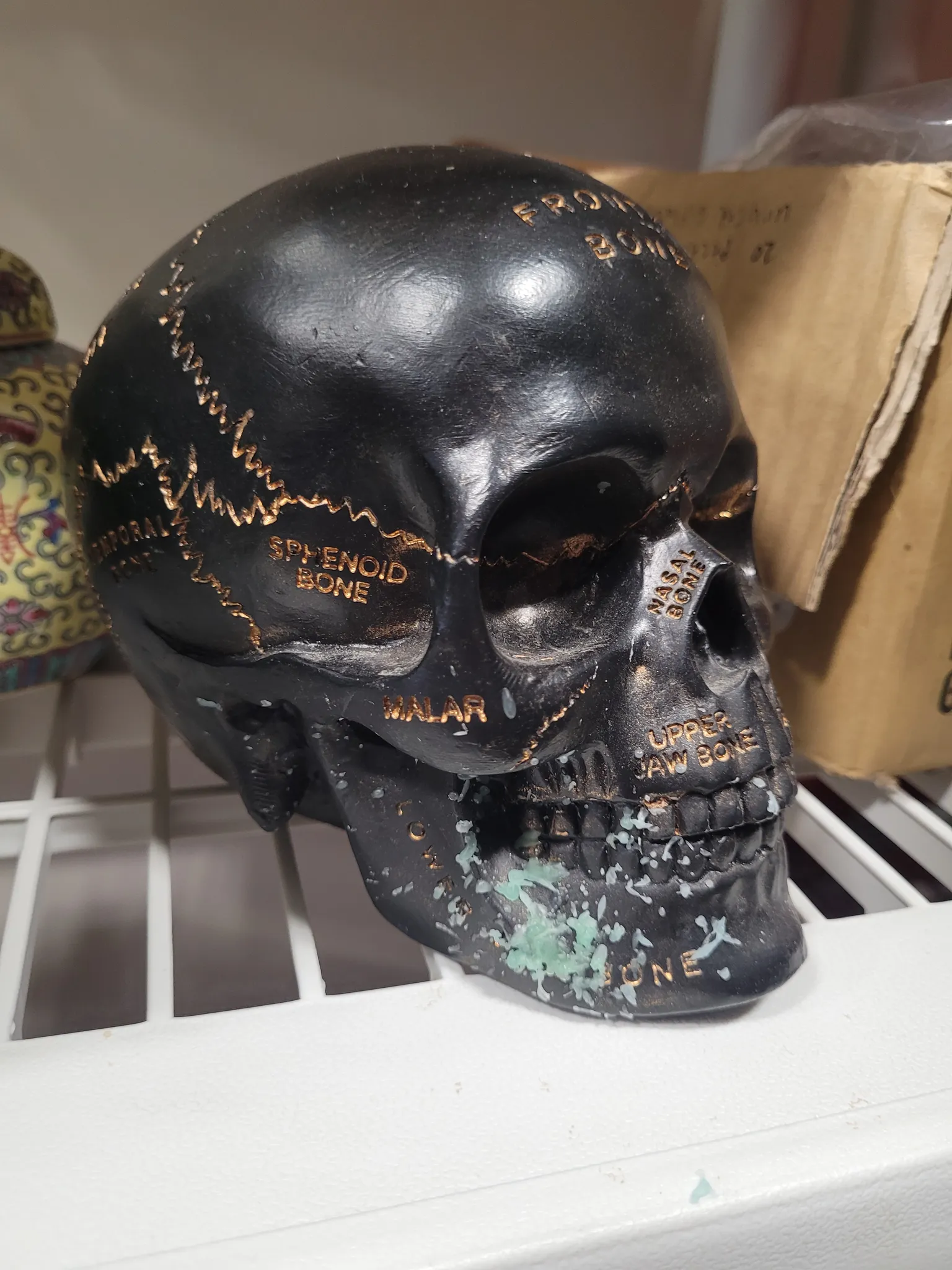 Decorative skull photo 1