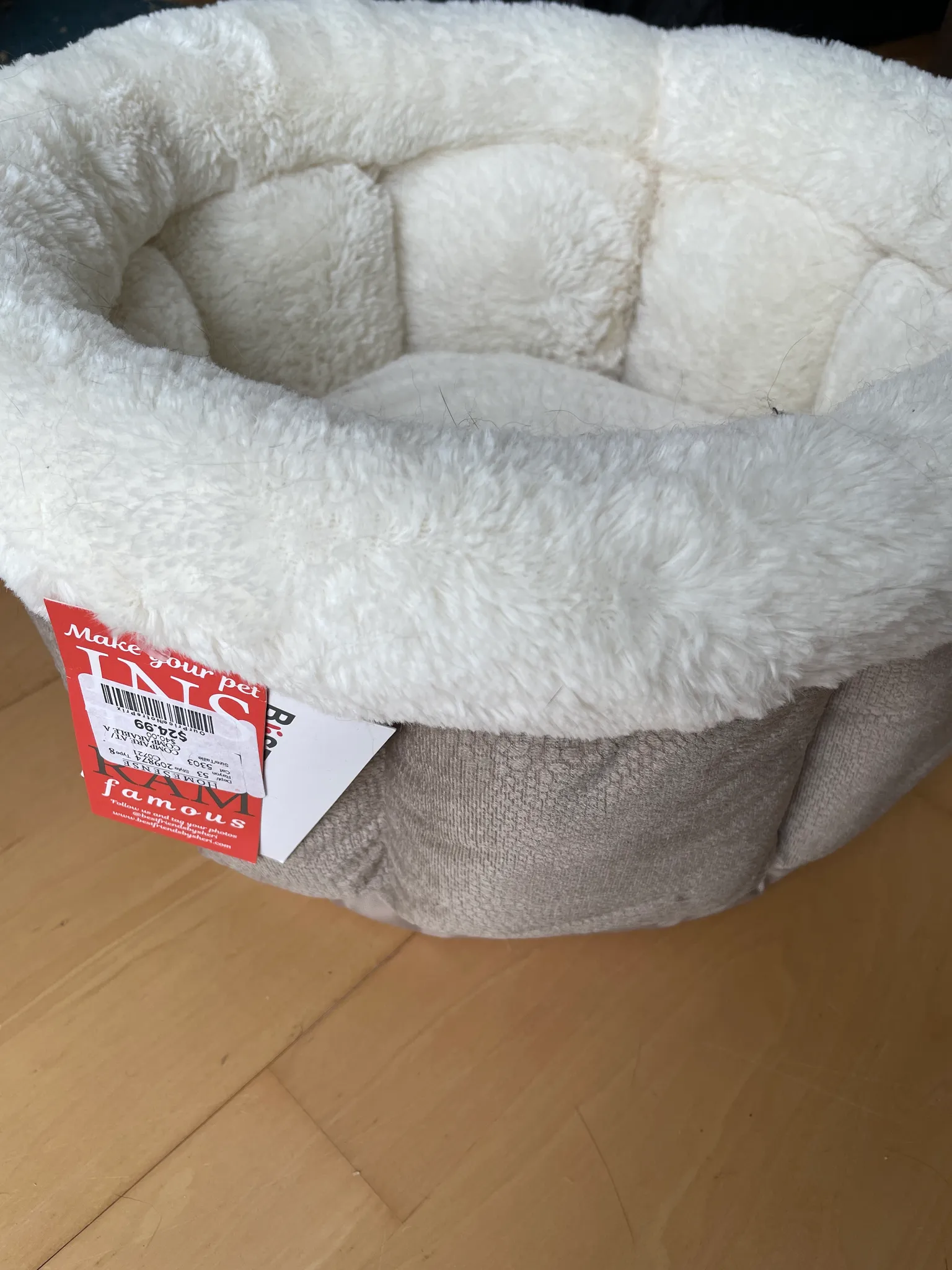 Dog Bed that My Cats Hated photo 1
