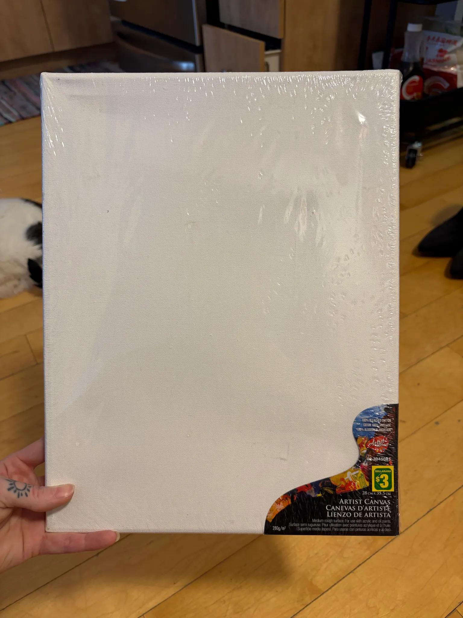dollar store canvas photo 1