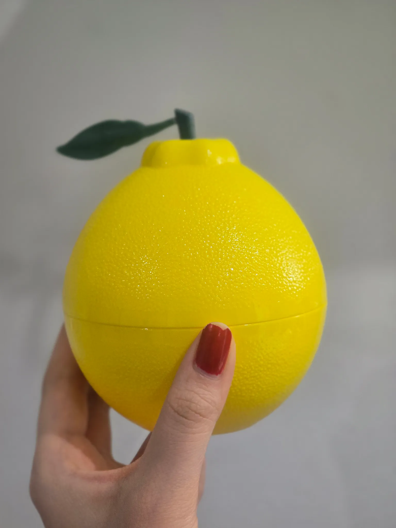 Yuzu Container photo 1