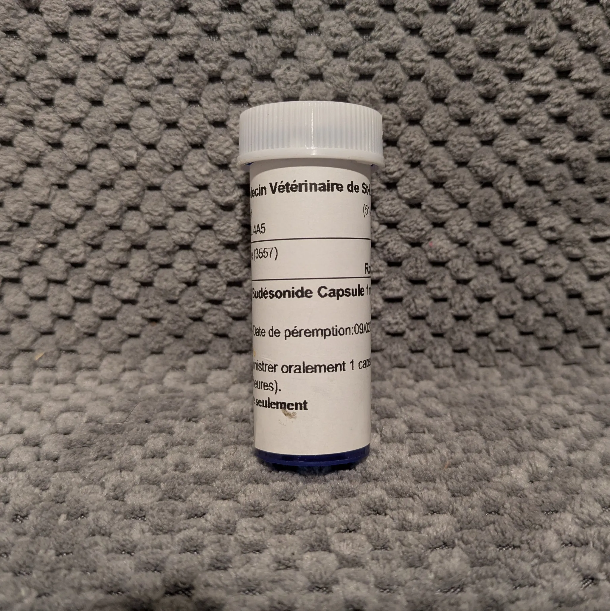 17x budesonide (1mg) photo 1