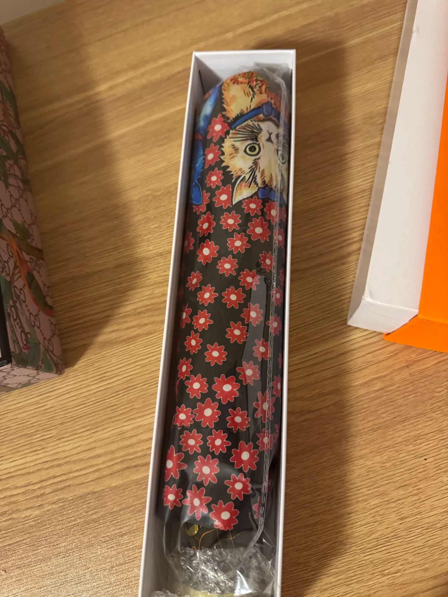 Gucci and Hermes Umbrella x2 photo 1