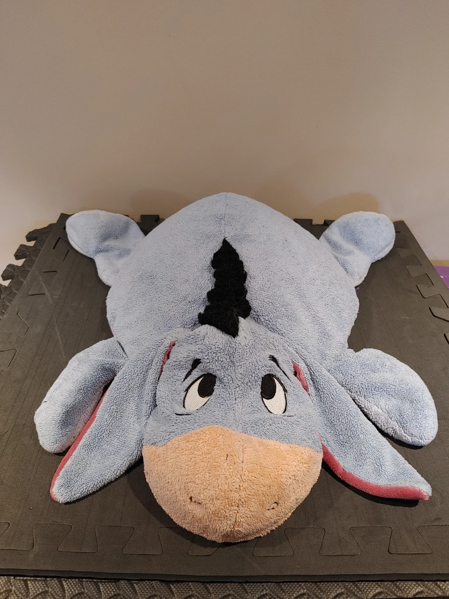 Eeyore photo 1