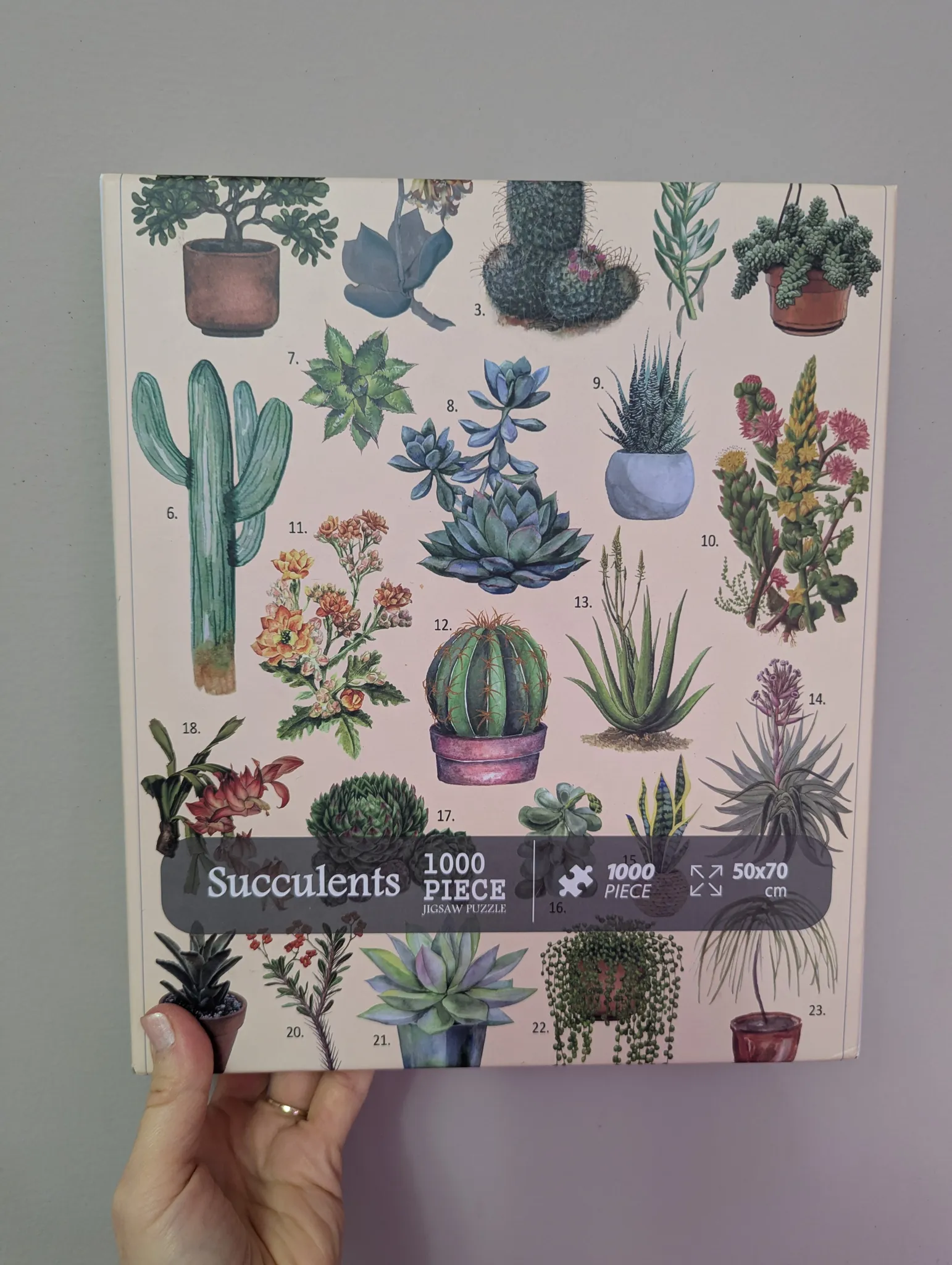 Succulent Puzzle - 1000 photo 1