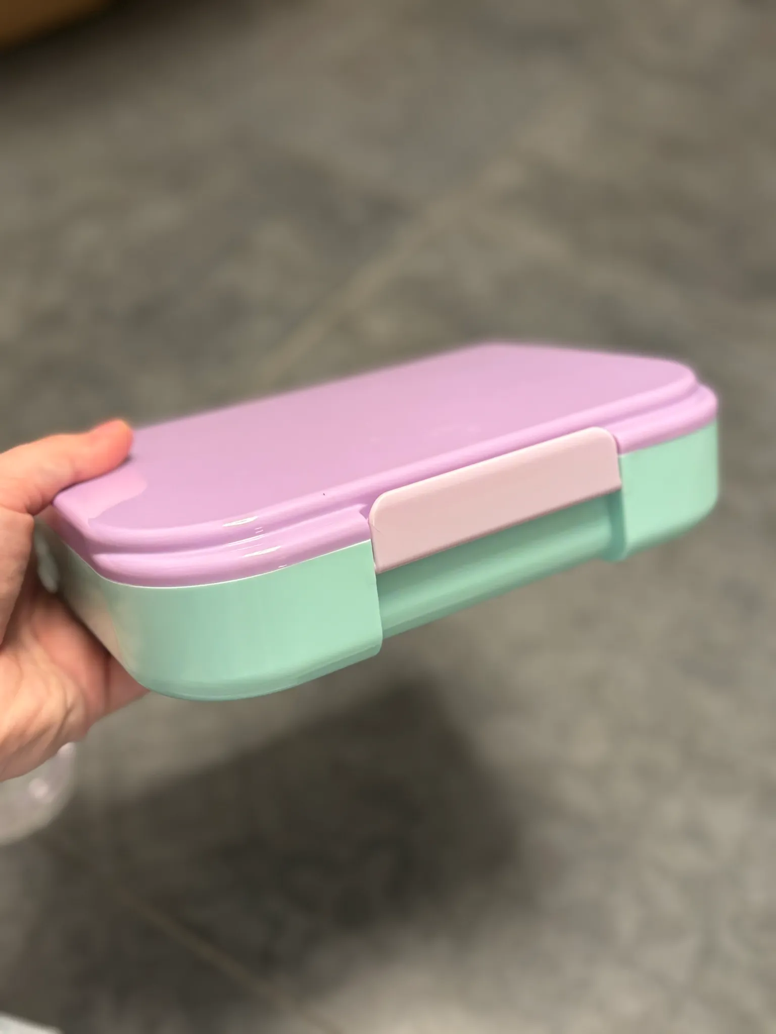 Bento box photo 1