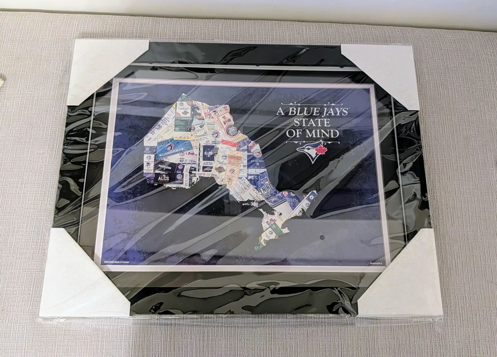 Brand New A Blue Jays State of Mind Framed Print photo 1