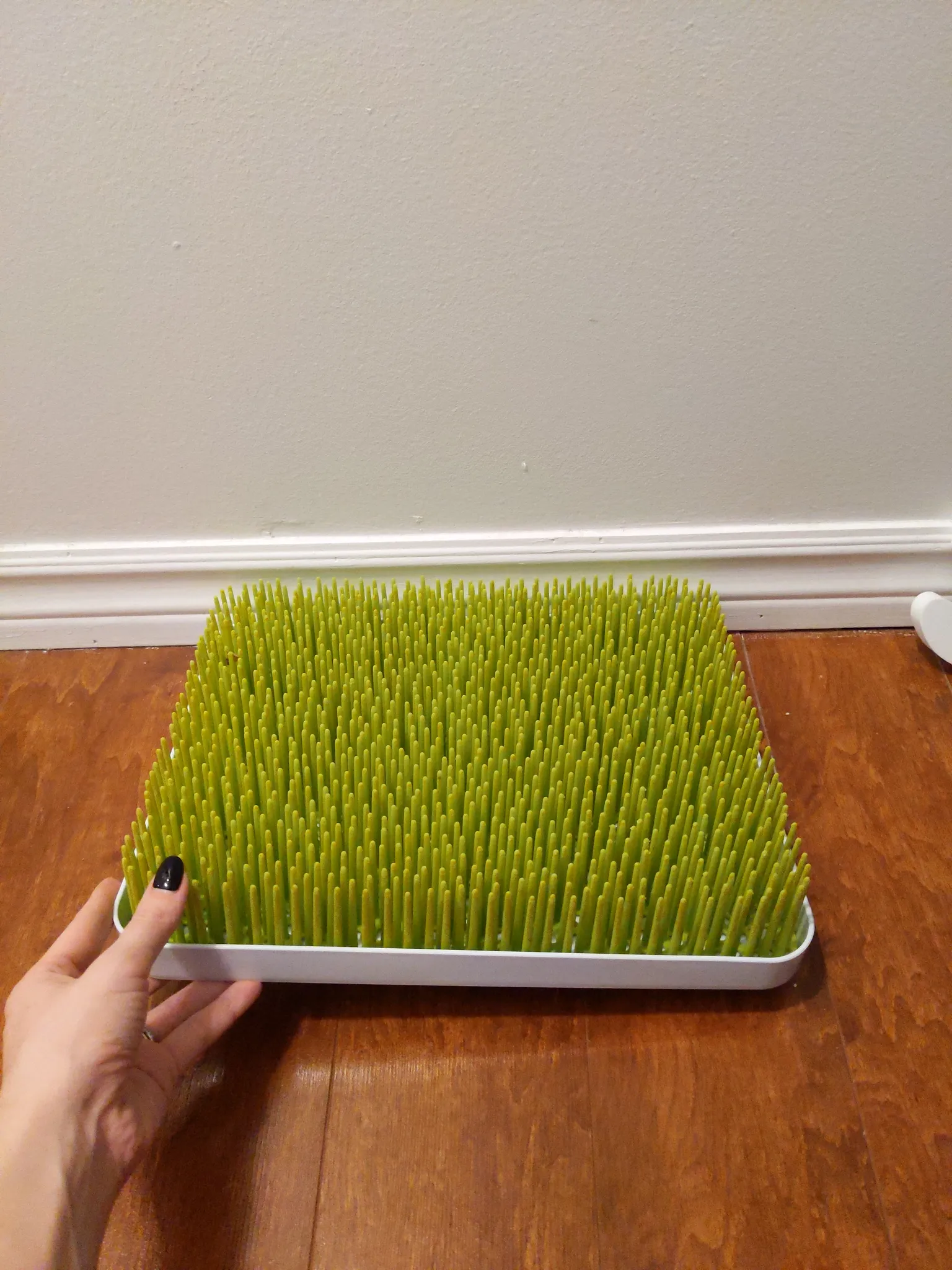 Drying Rack photo 1