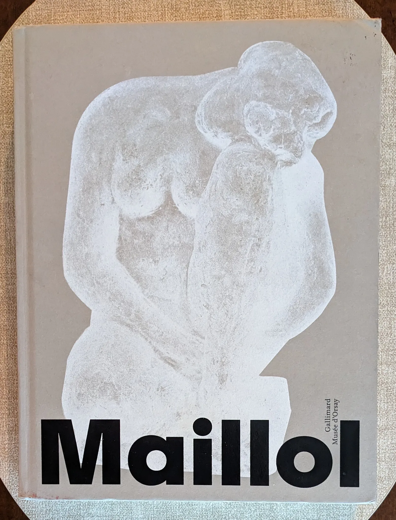 Aristide Maillol Book photo 1