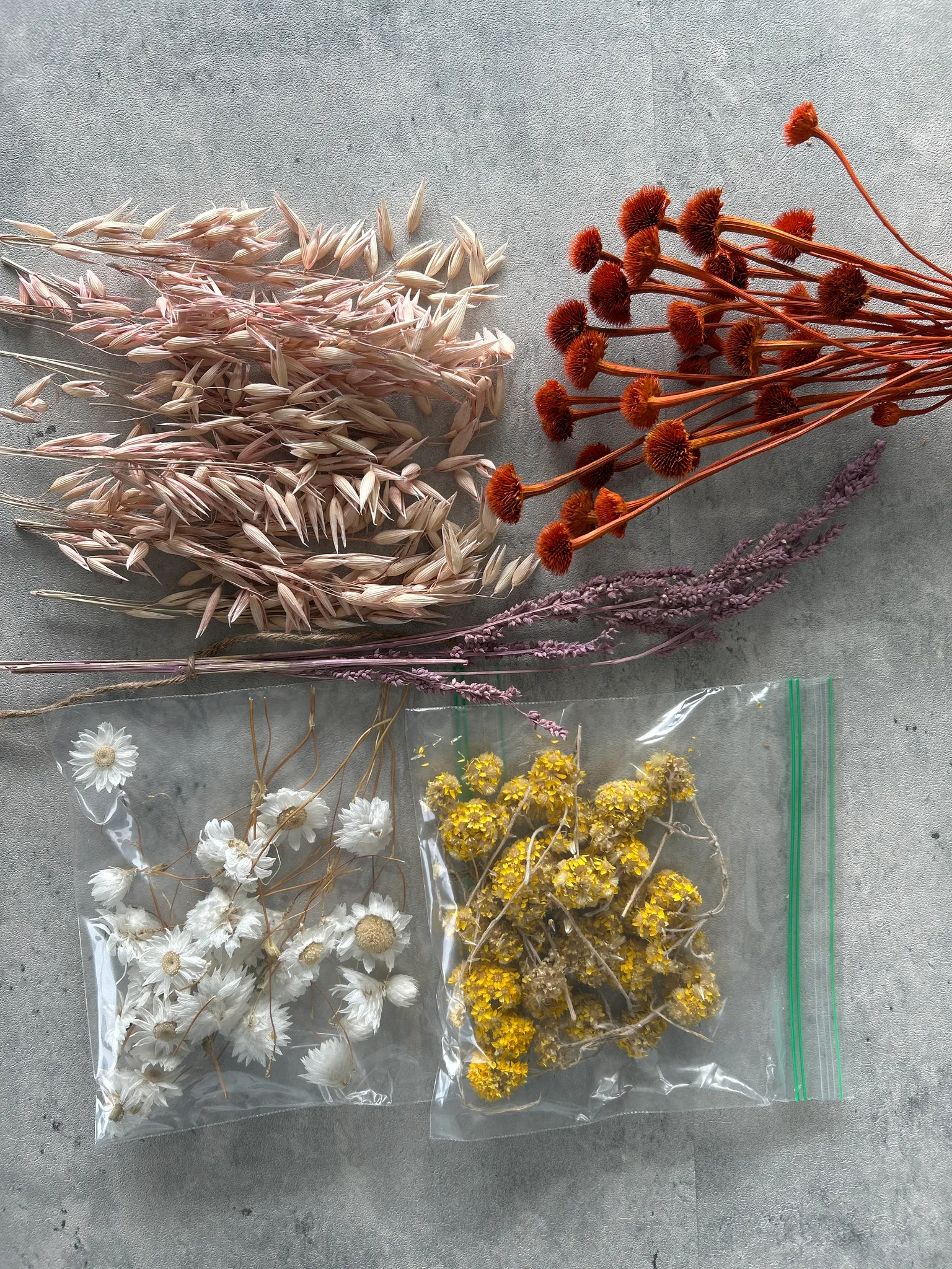 PENDING - Dried Flowers photo 1