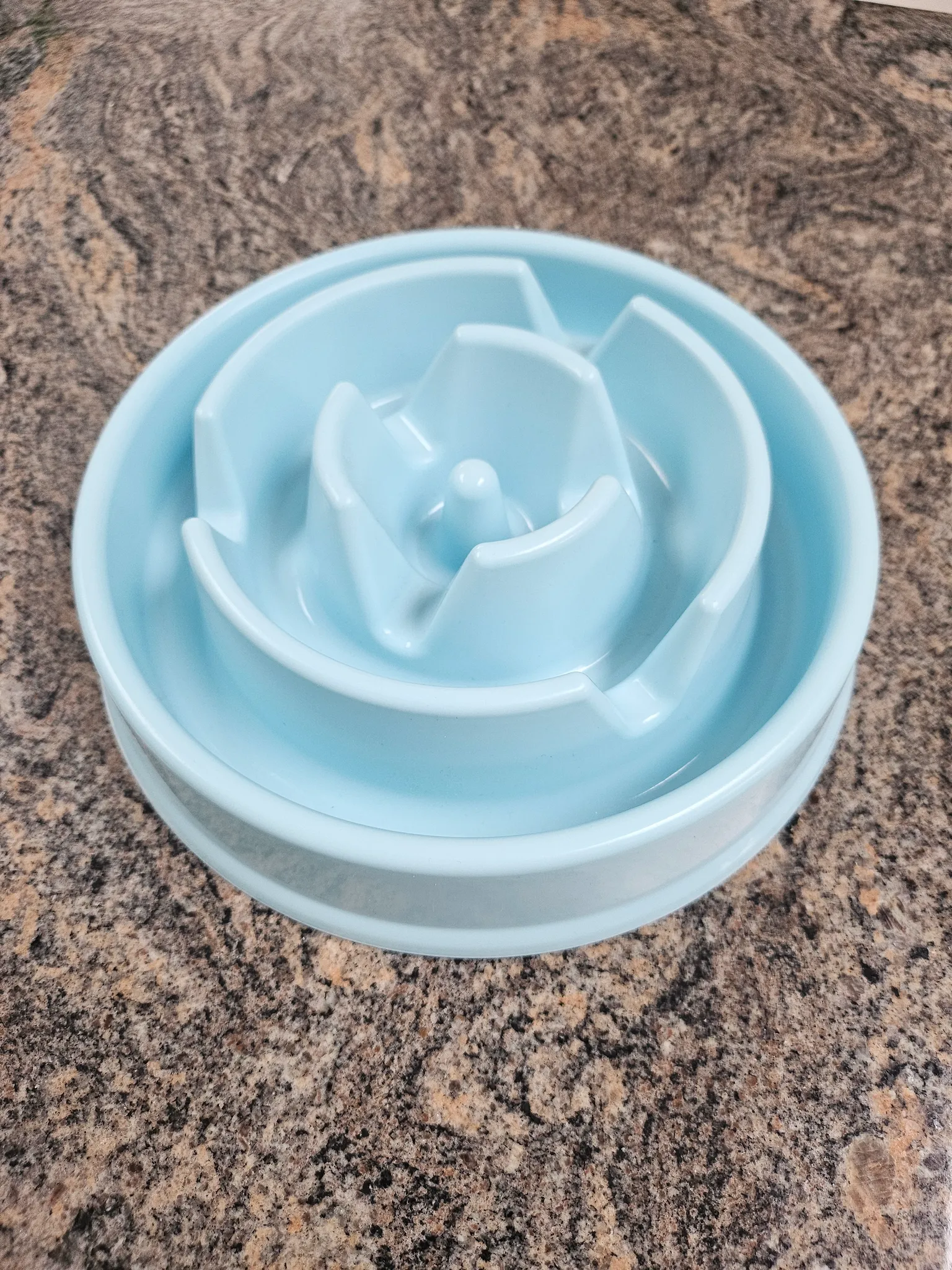 Dog Slow Feeder - Blue photo 1