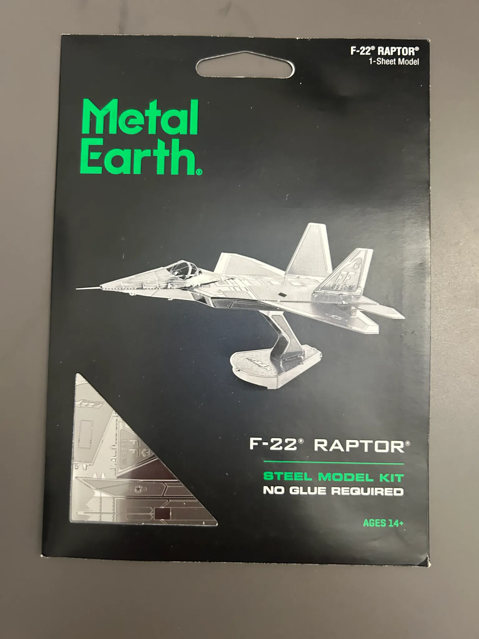 F22 Raptor Steel Model Kit photo 1