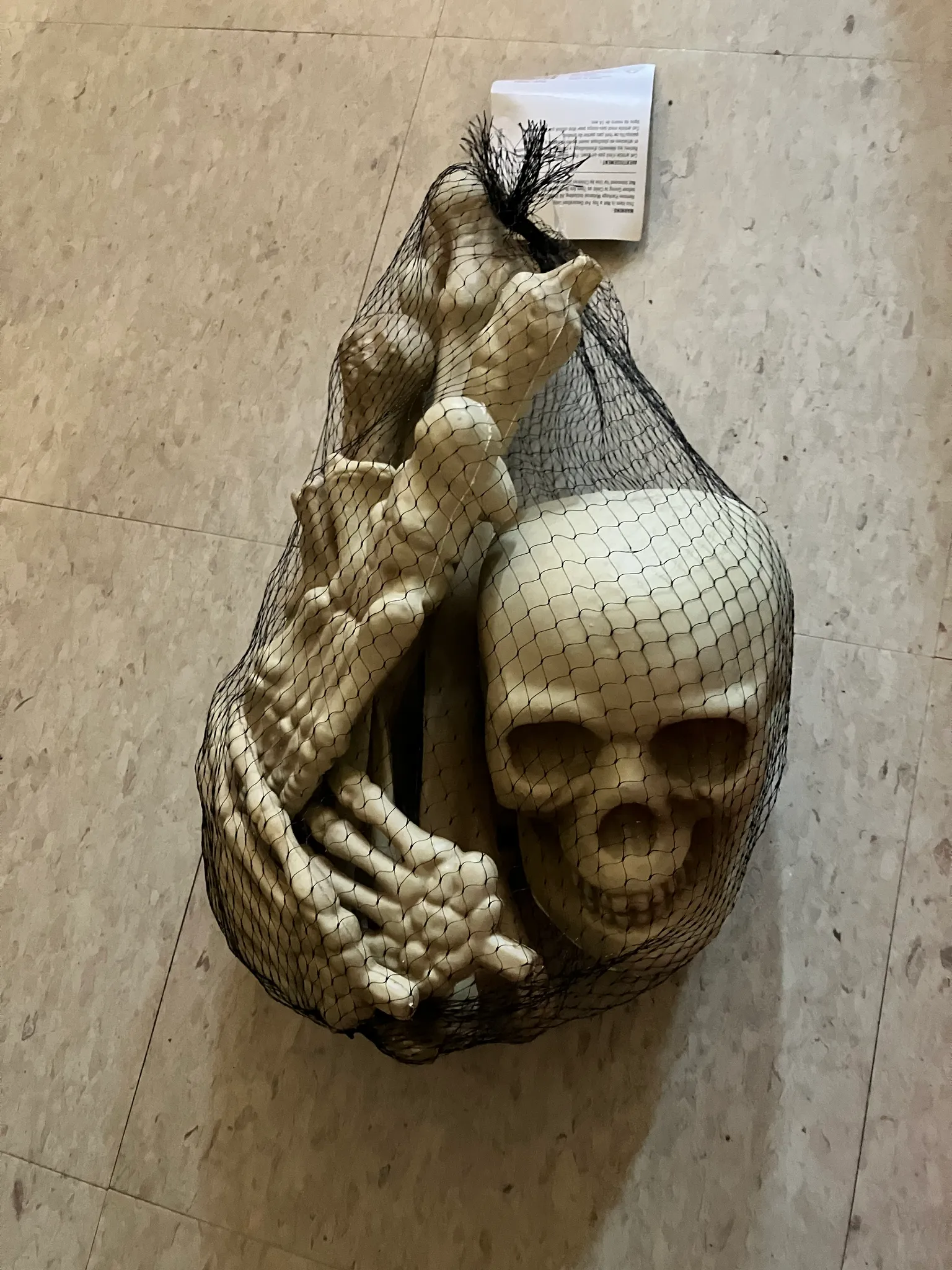 Bag of Bones! photo 1