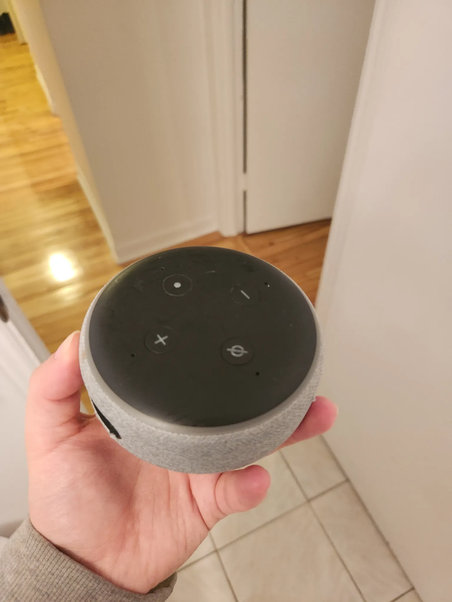 Home Alexa  photo 1
