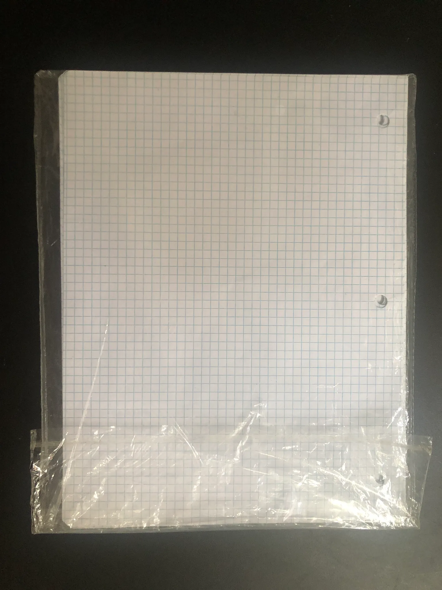 Grid Paper photo 1