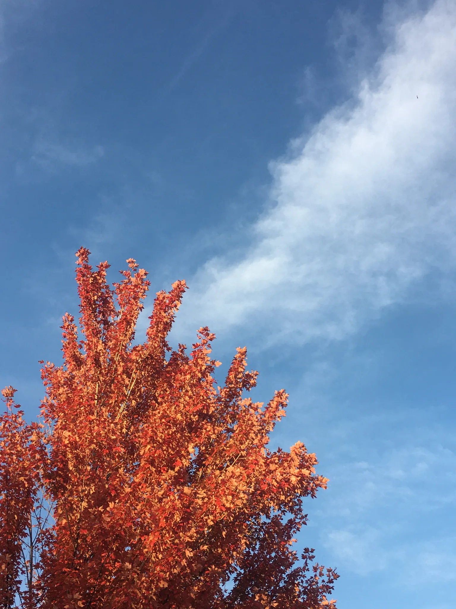 DELETING THIS APP photo 1