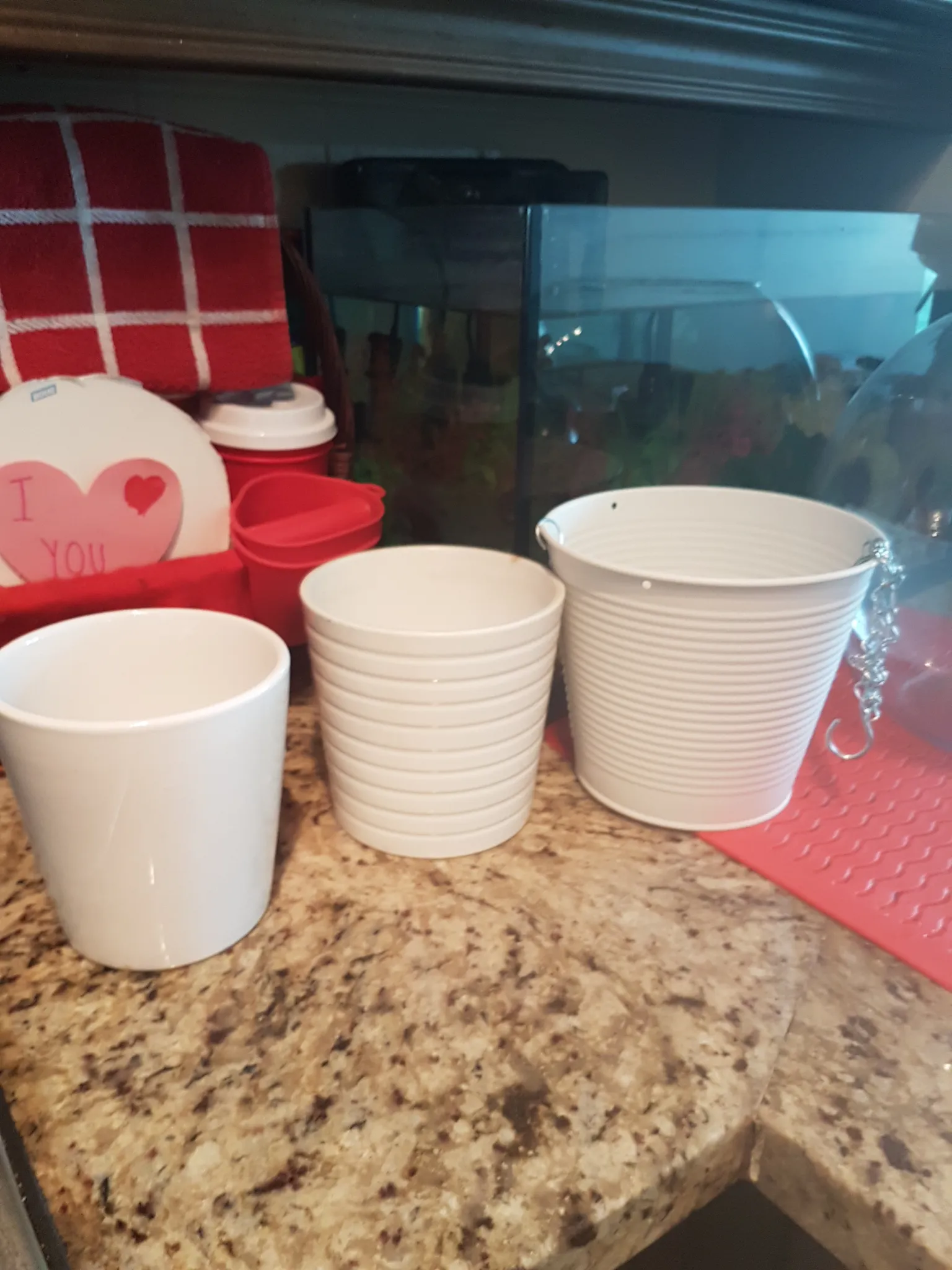 planters photo 1