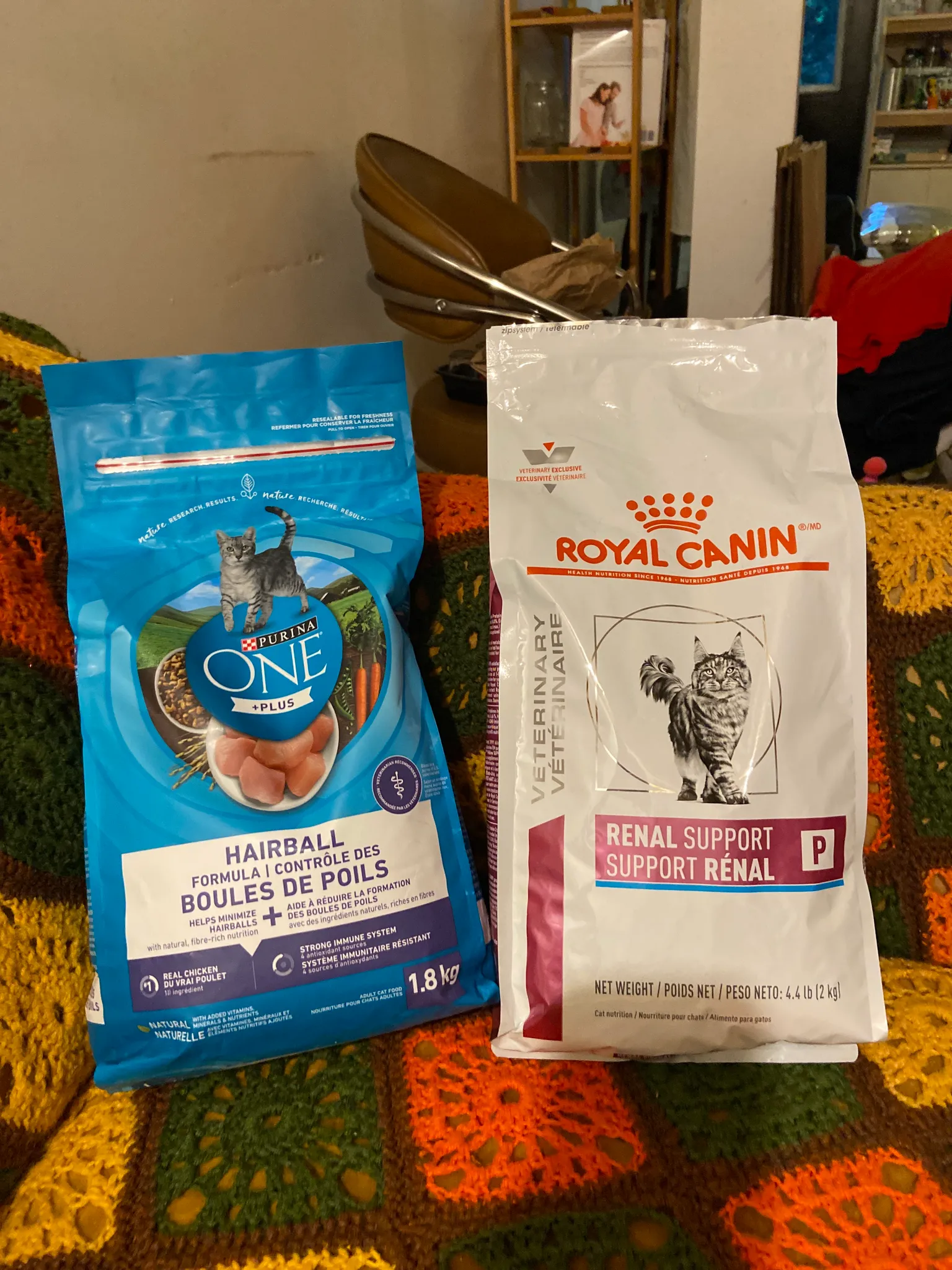 cat food photo 1
