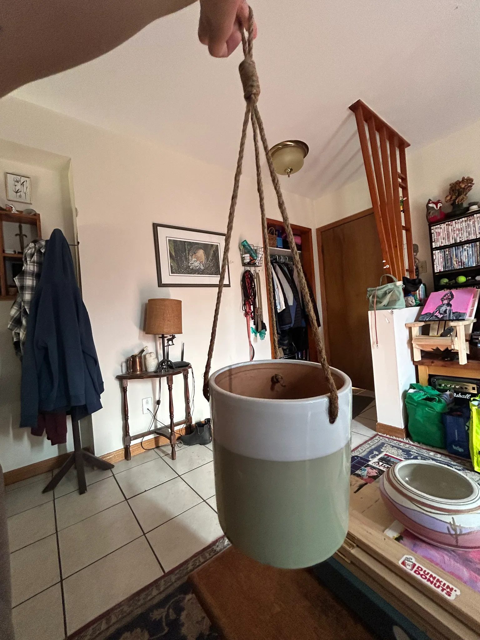 Plant Pots photo 1