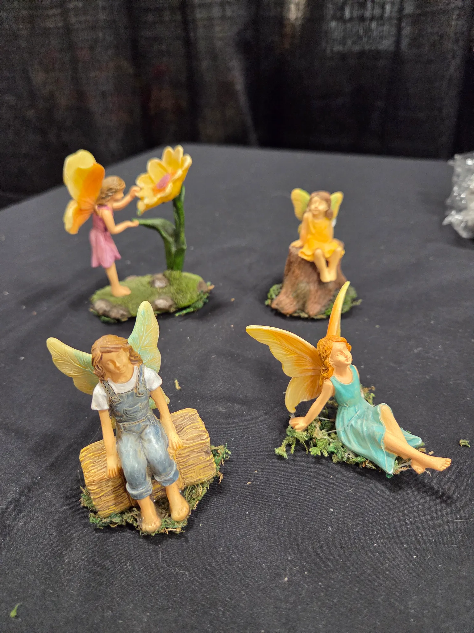 Fairy lot photo 1