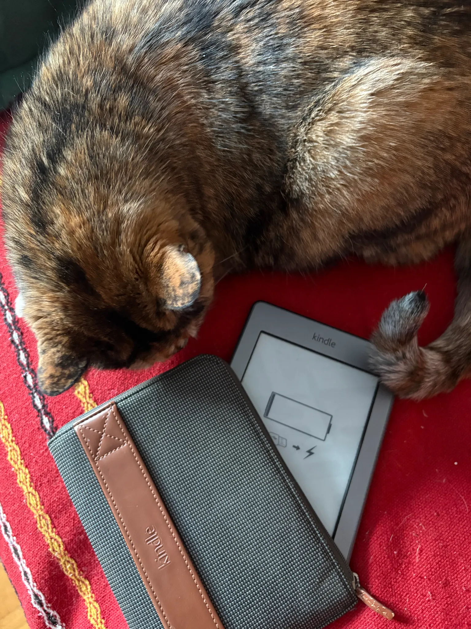 a kindle anyone?? photo 1