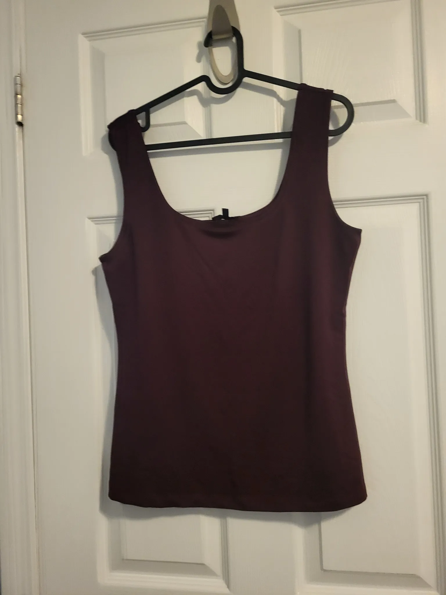Pending- Tank Top (L) photo 1