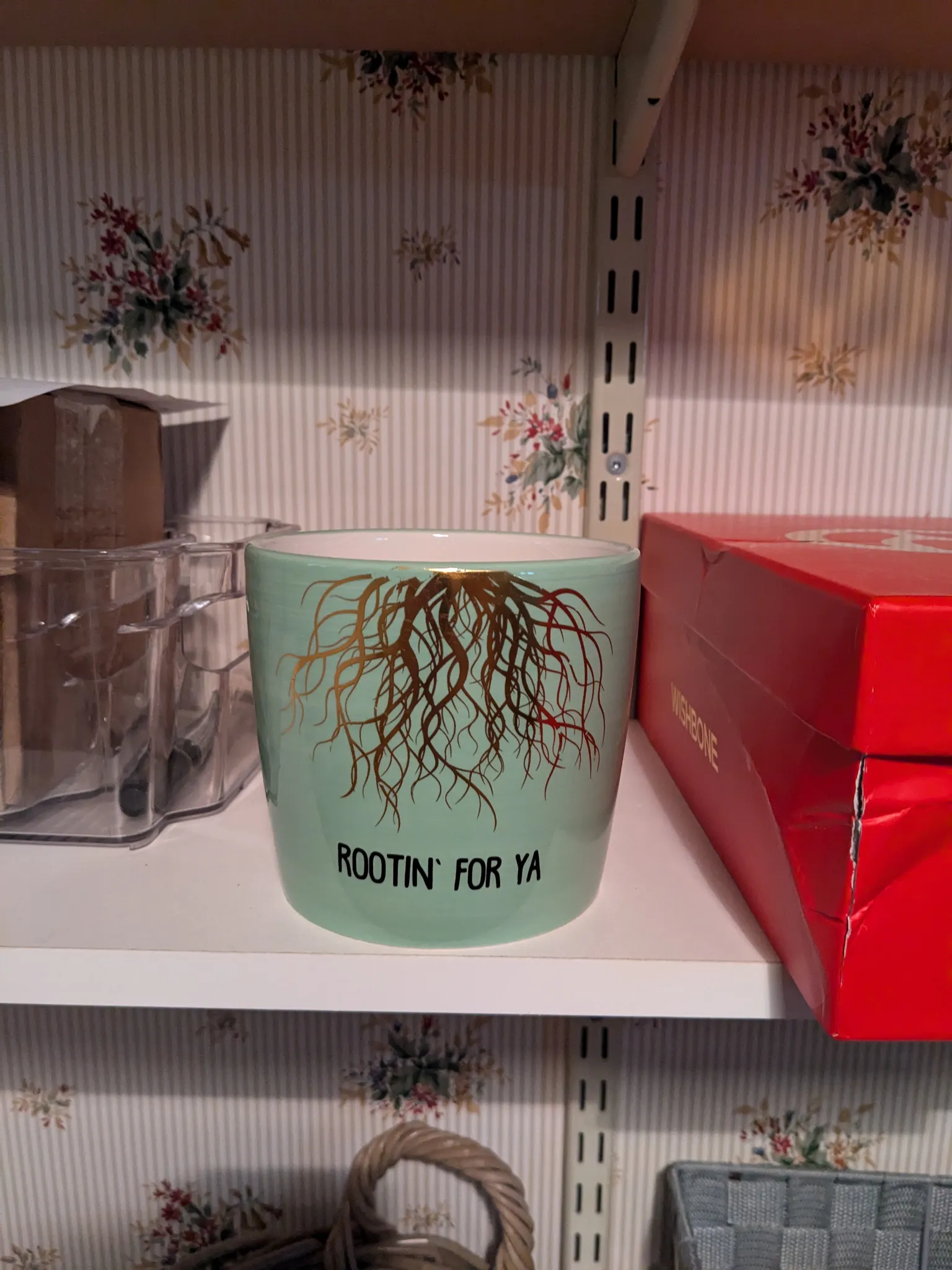 Cute Little Planter photo 1